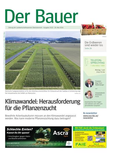 Der Bauer 2026-05-20